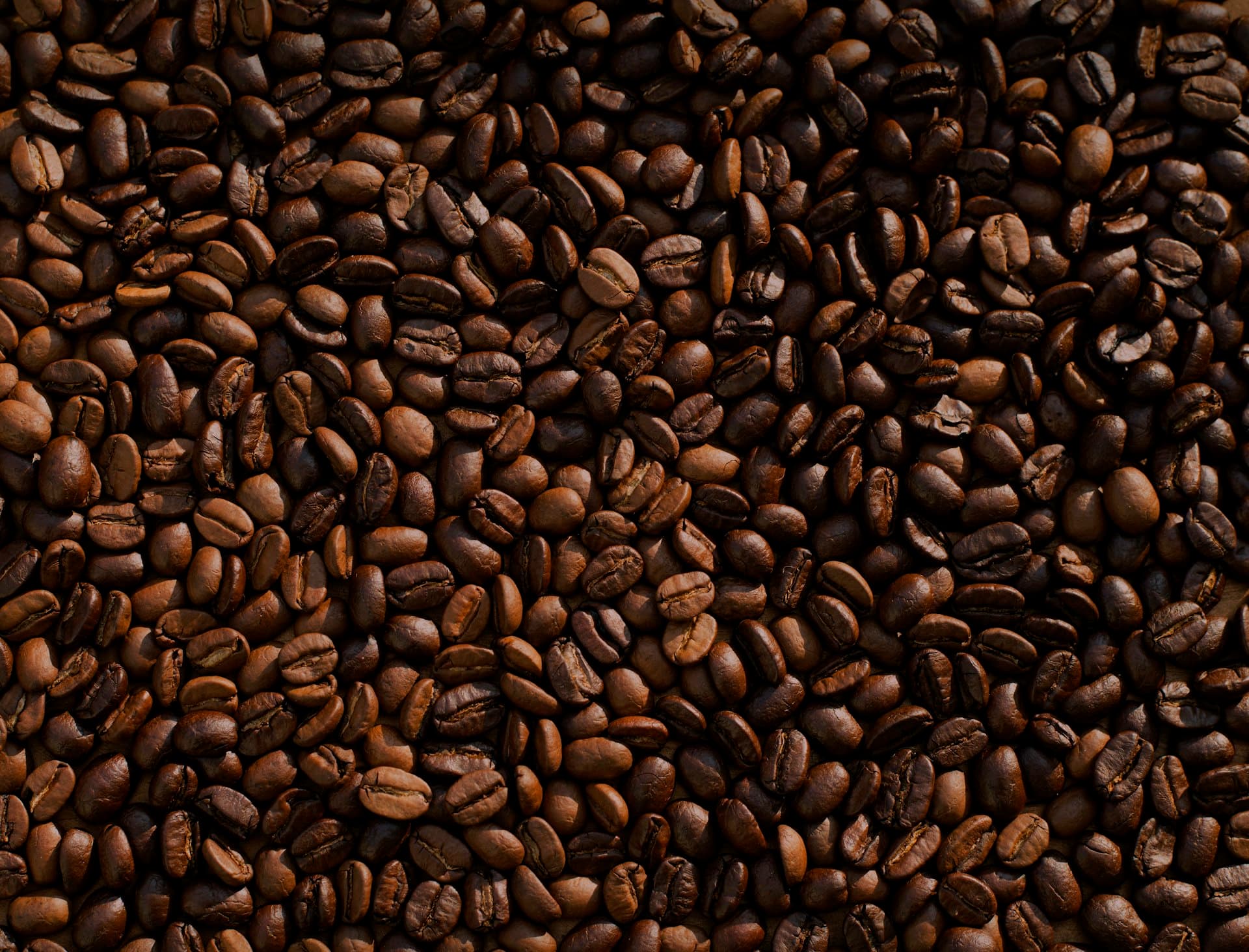 Premium coffee beans
